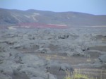 dsc00117.jpg

616,93 KB 
2016 x 1512 
09/09/04
