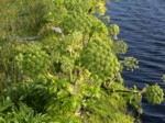 dsc00121.jpg

616,03 KB 
2016 x 1512 
09/09/04

