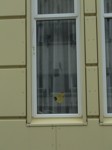 dsc00228.jpg

517,08 KB 
1512 x 2016 
09/09/04

