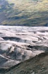 scansione0028.jpg

214,86 KB 
789 x 1210 
11/09/04
