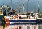 scansione0036.jpg

188,56 KB 
1183 x 808 
11/09/04

