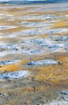 scansione0040.jpg

267,09 KB 
784 x 1206 
11/09/04

