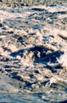 scansione0041.jpg

187,95 KB 
794 x 1206 
11/09/04
